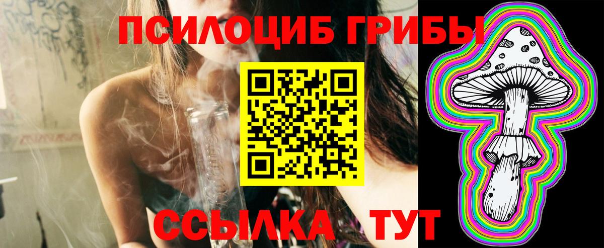 Псилоцибиновые грибы Cubensis Рузаевка