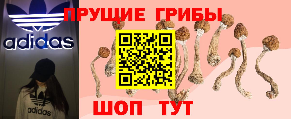 Рузаевка  Псилоцибиновые грибы GOLDEN TEACHER  Галлюциногенные грибы MAGIC MUSHROOMS  Вход с VPN 